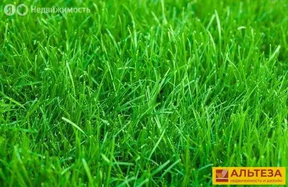 Участок в Калининградская область, Гурьевский муниципальный округ, ... - Фото 0