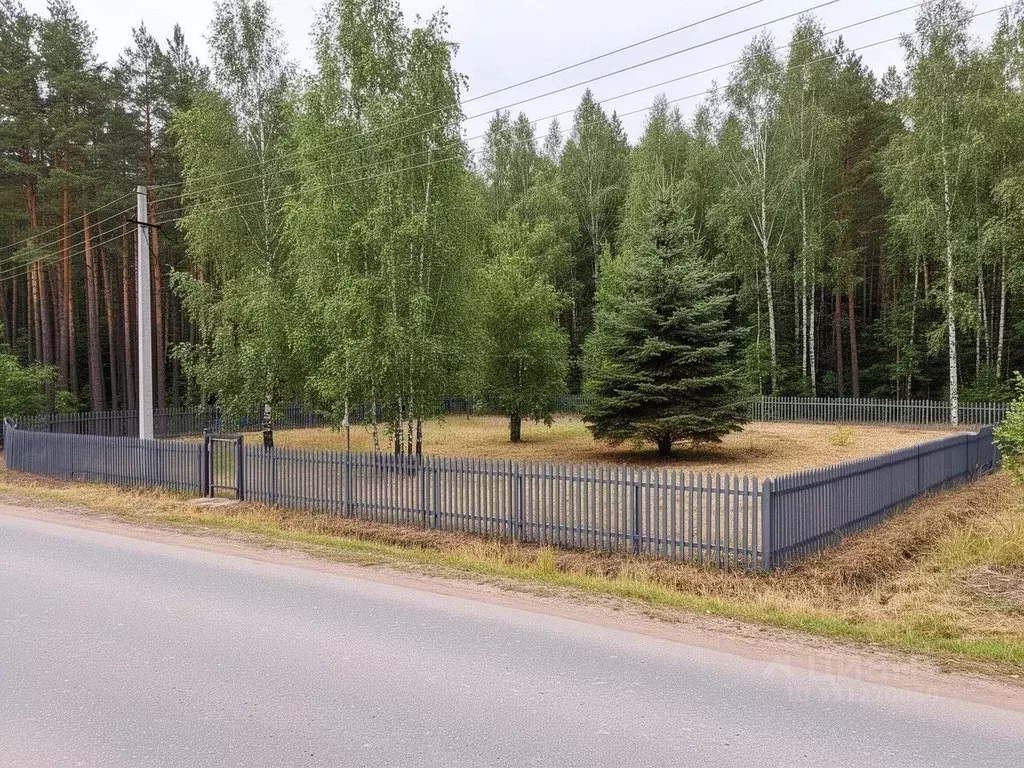 Участок в Московская область, Богородский городской округ, Восточная ... - Фото 1