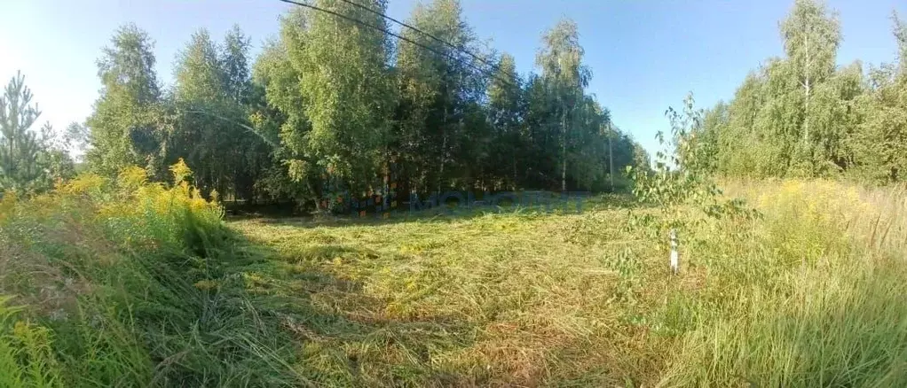 Участок в Нижегородская область, Дальнеконстантиновский муниципальный ... - Фото 1
