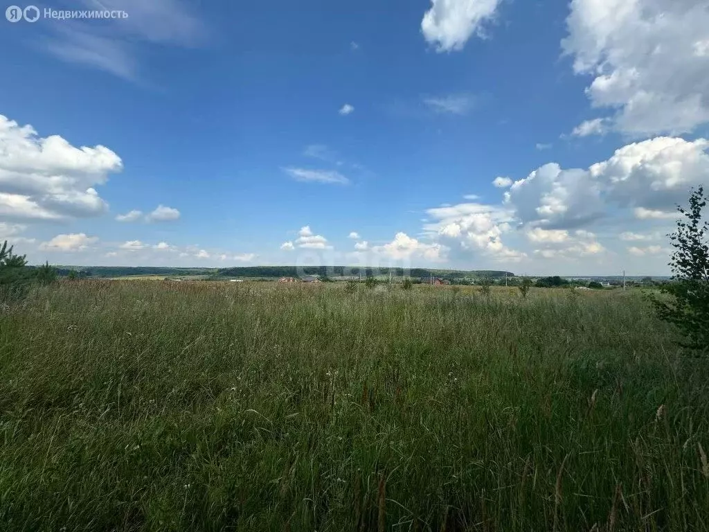 Участок в Лямбирский район, Пензятское сельское поселение, село ... - Фото 1