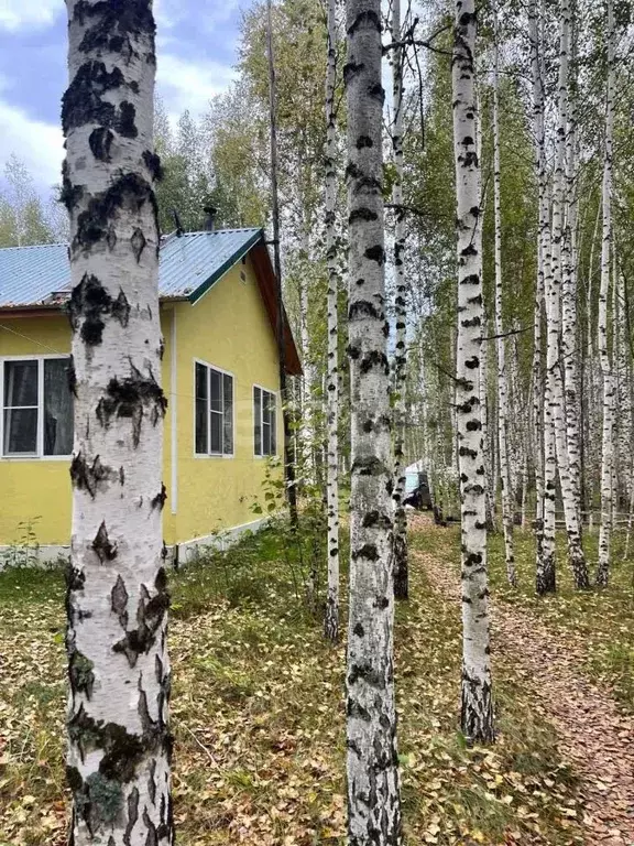 Дом в Новосибирская область, Болотнинский район, д. Кругликово  (48 м) - Фото 0