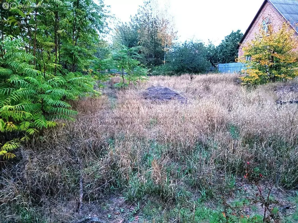 Участок в Таганрог, садовое товарищество Лиман, 135 (6 м) - Фото 2