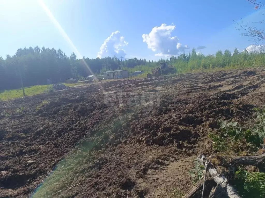 Участок в Ханты-Мансийский АО, Ханты-Мансийск Бытовик СОТ, 80 (10.0 ... - Фото 1