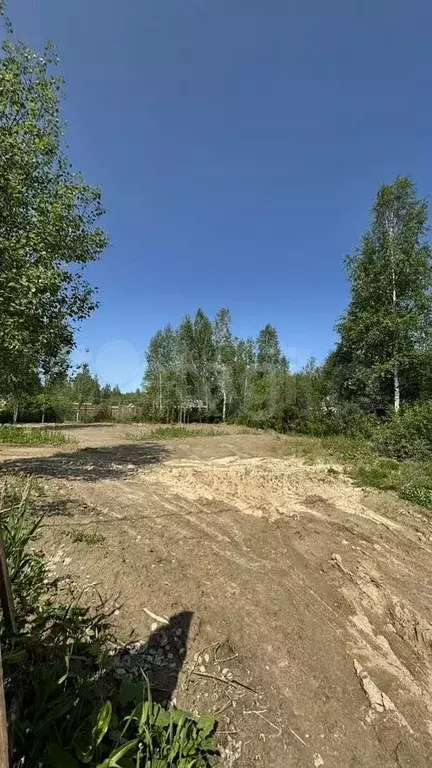 Участок 9,8 сот. (СНТ, ДНП) - Фото 0