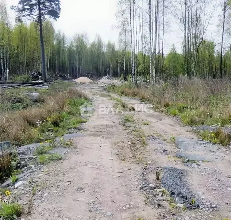 Участок в Владимирская область, Гусь-Хрустальный район, Мезиновский ... - Фото 1