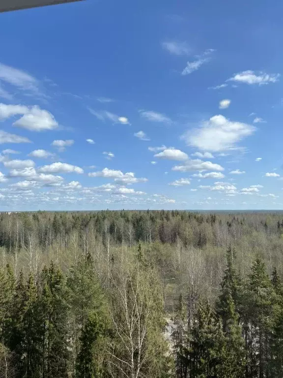 2-к кв. Коми, Сыктывкар просп. Бумажников, 50 (52.5 м) - Фото 2