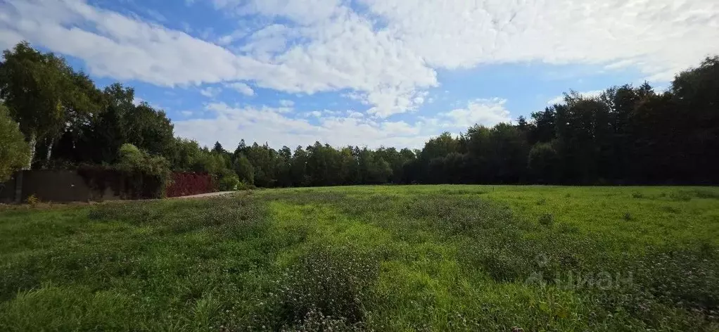 Участок в Московская область, Одинцовский городской округ, Литератор ... - Фото 2