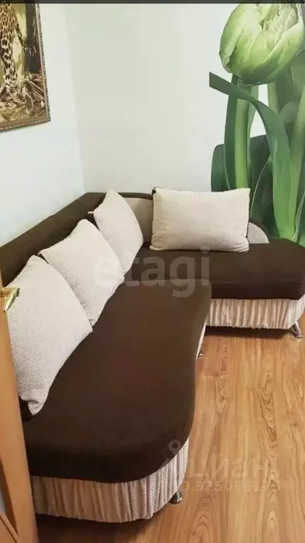 1-к кв. Саратовская область, Балашов Шоссейная ул., 10Б (31.9 м) - Фото 1