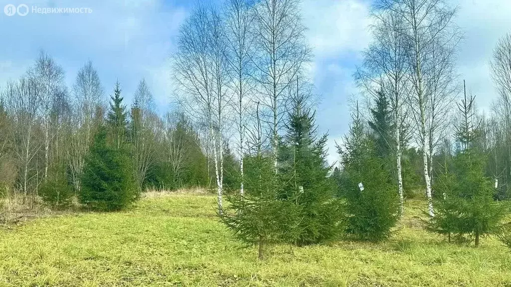 Участок в Московская область, городской округ Истра, деревня ... - Фото 0