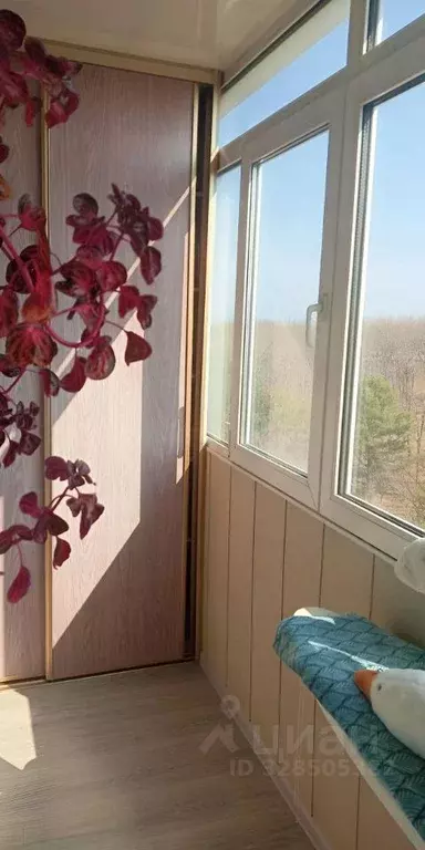 1-к кв. Приморский край, Владивосток ул. 2-я Линейная, 21 (36.0 м) - Фото 2