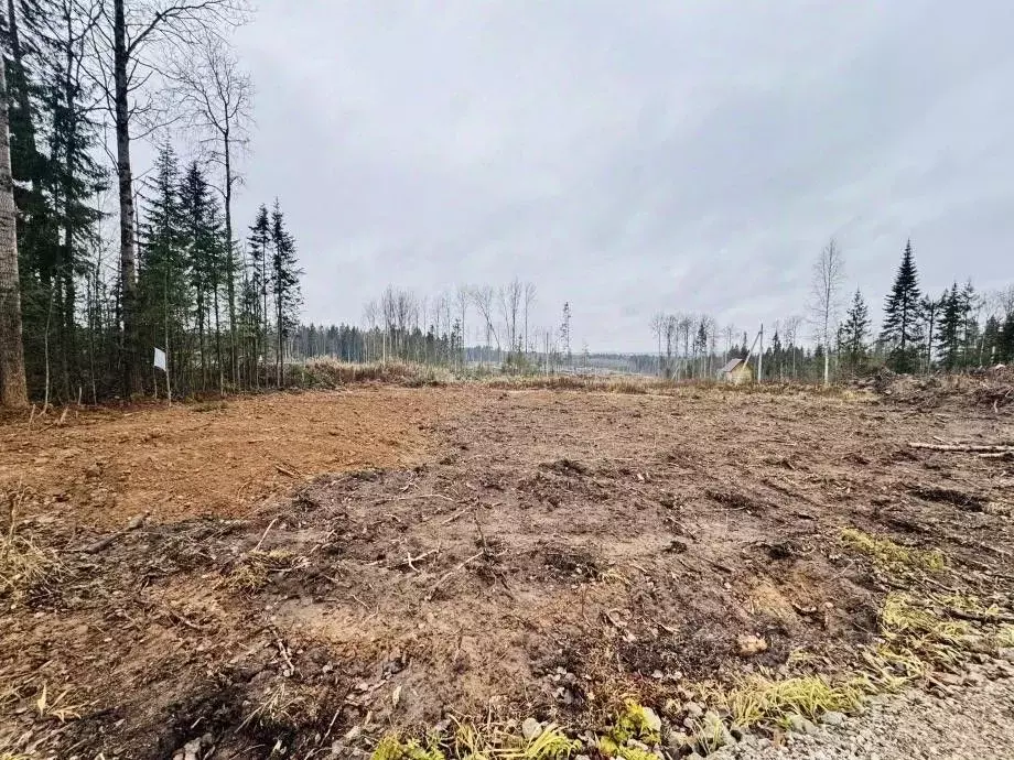 Участок в Пермский край, Березники ул. Осиновая, 13 (8.1 сот.) - Фото 1