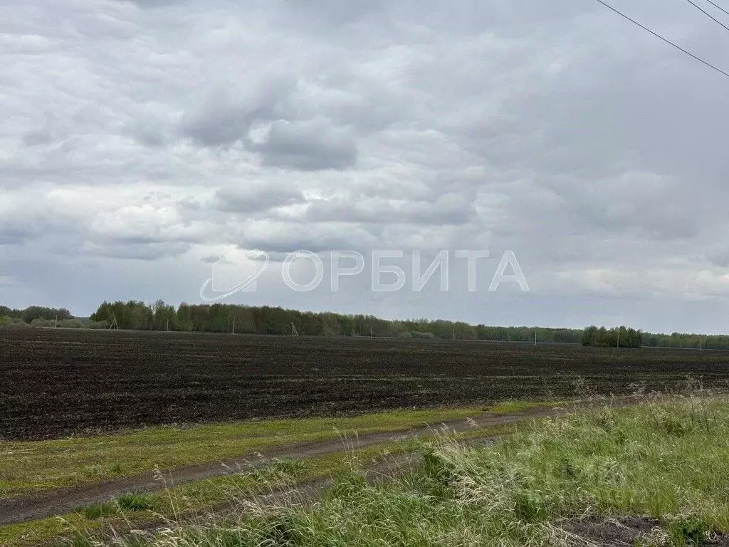 Участок в Тюменская область, Тюменский район, Кулаковское ... - Фото 0