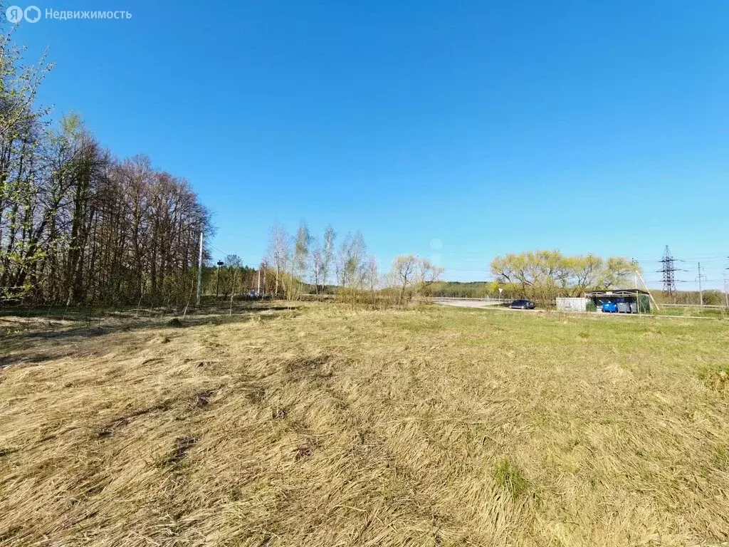 Участок в Московская область, городской округ Воскресенск, село ... - Фото 2