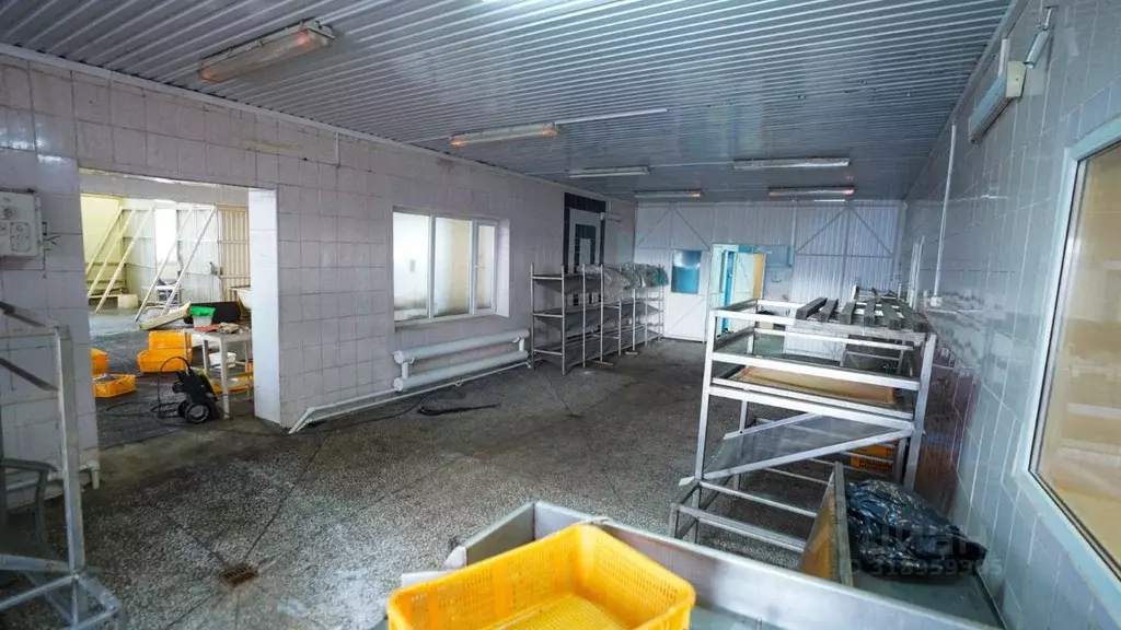 Помещение свободного назначения в Камчатский край, Елизовский район, ... - Фото 2