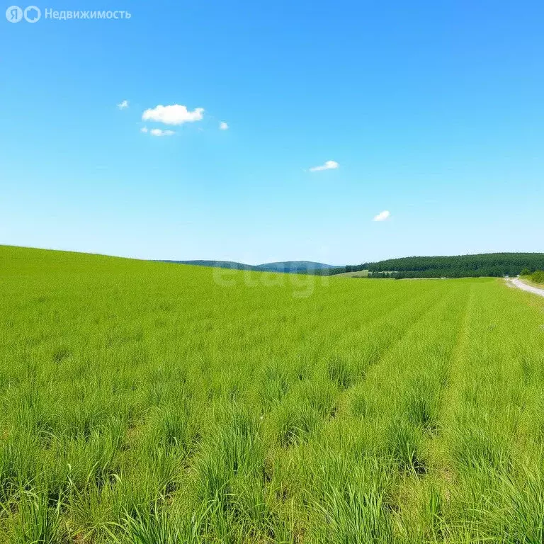 Участок в Новосибирский район, Морской сельсовет, ТСН Ближняя Дача, ... - Фото 0