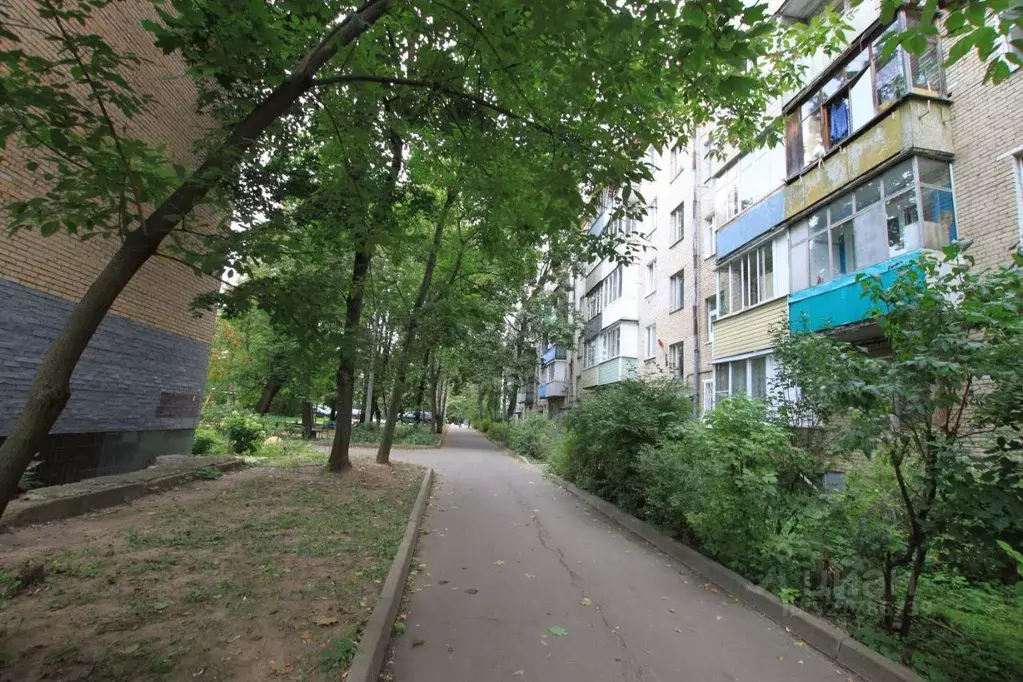 2-к кв. Московская область, Пушкино Лесная ул., 10 (47.0 м) - Фото 0