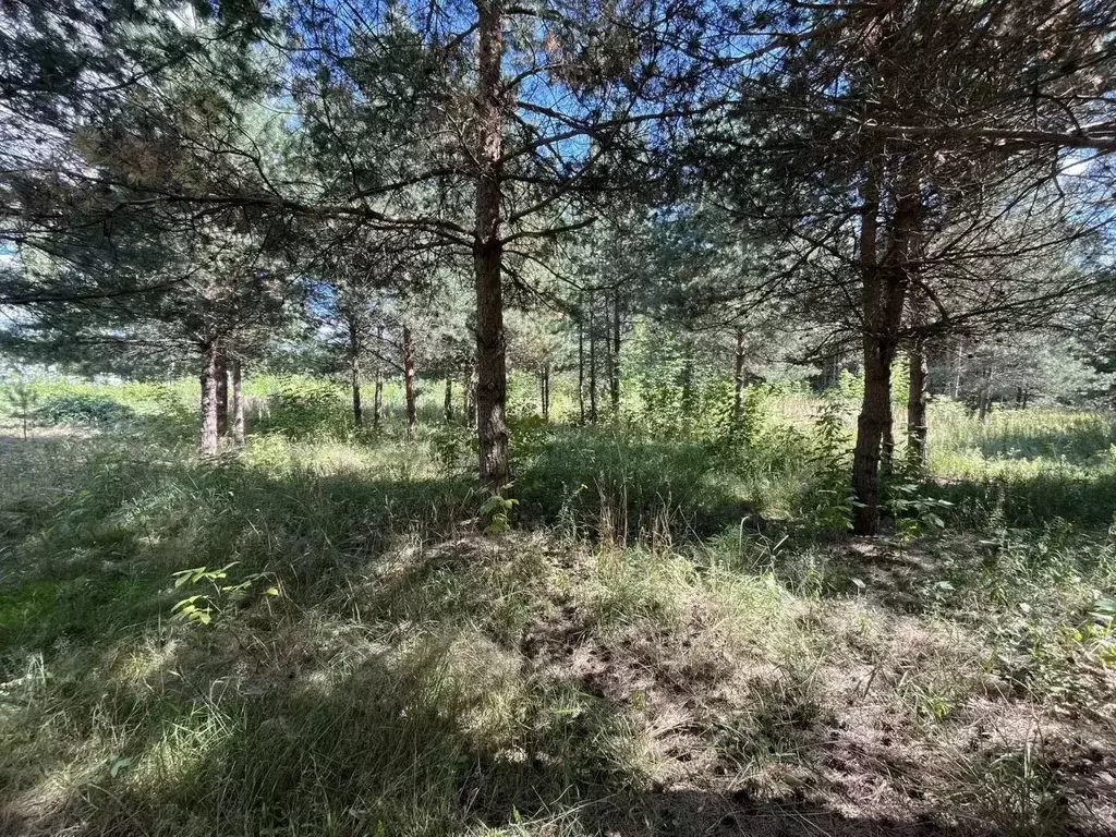 Участок в Московская область, Орехово-Зуевский городской округ, д. ... - Фото 2