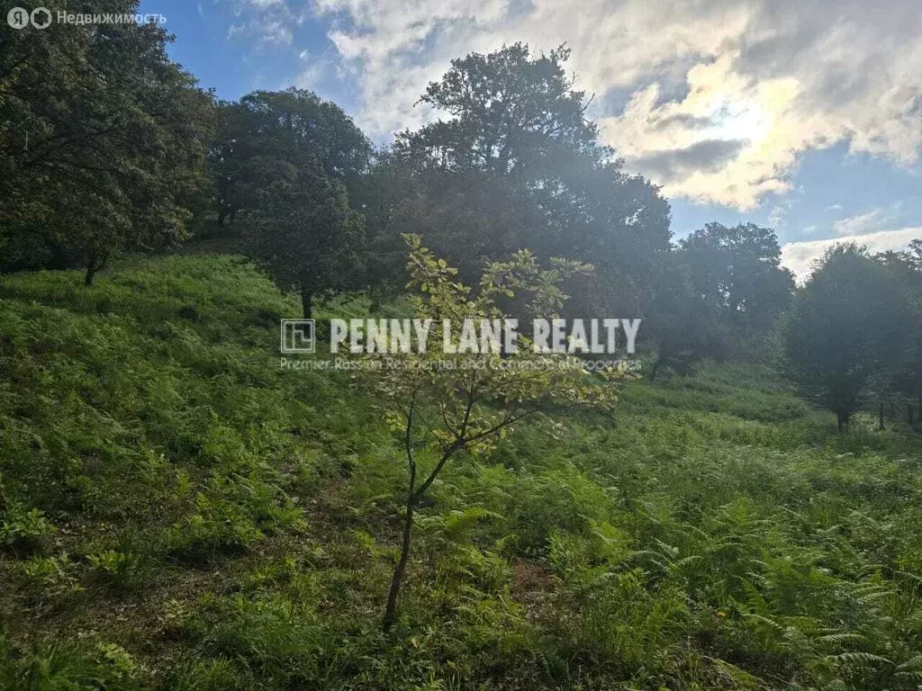 Участок в Сочи, Ворошиловградская улица (35 м) - Фото 1