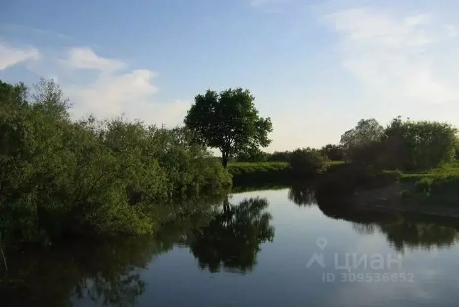 Участок в Нижегородская область, Богородский муниципальный округ, с. ... - Фото 1