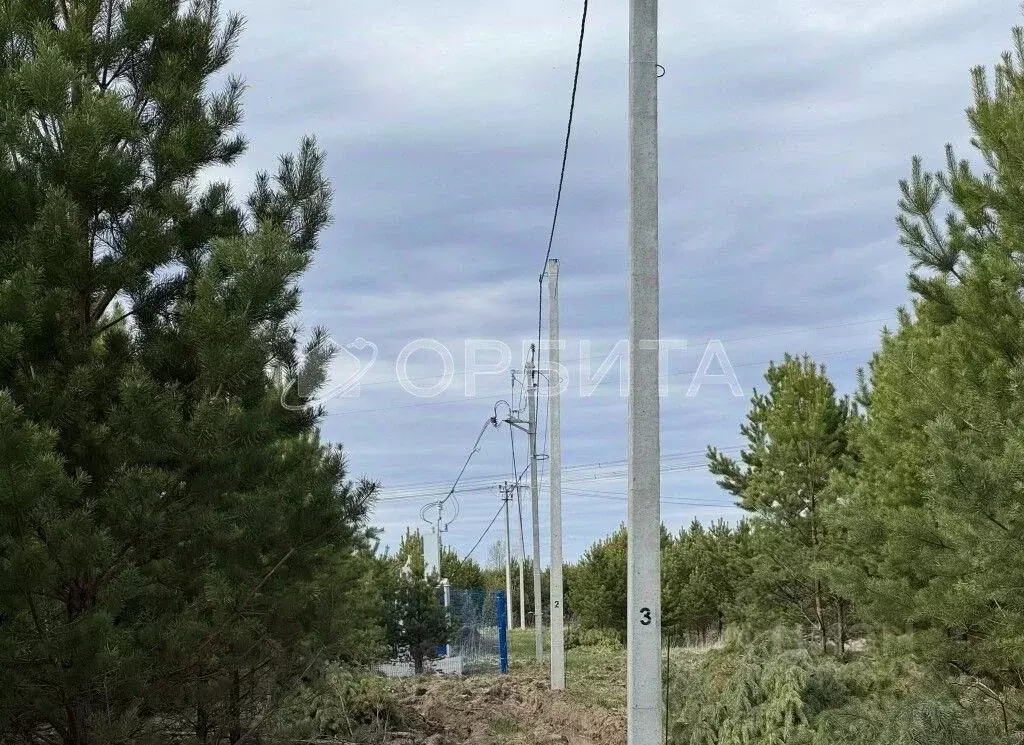 Участок в Свердловская область, Слободо-Туринский район, ... - Фото 1