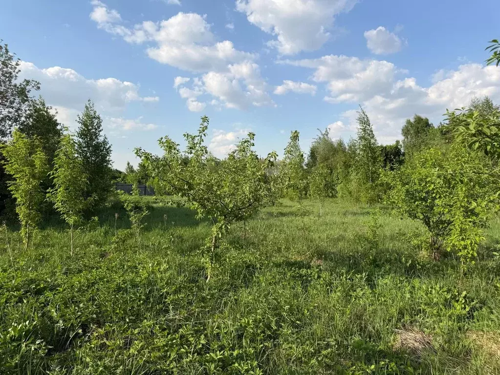 Участок в Московская область, Одинцовский городской округ, д. Сколково ... - Фото 1