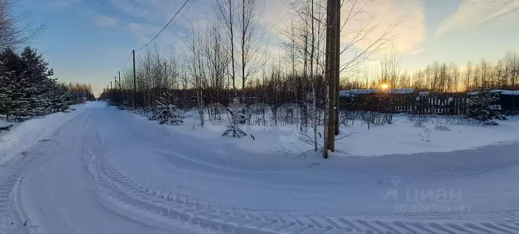 Участок в Челябинская область, Каслинский муниципальный округ, с. ... - Фото 1