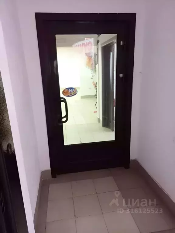 Помещение свободного назначения в Новосибирская область, Новосибирск ... - Фото 1