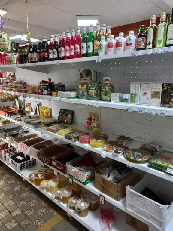 Торговая площадь в Тамбовская область, Тамбовский муниципальный округ, ... - Фото 2