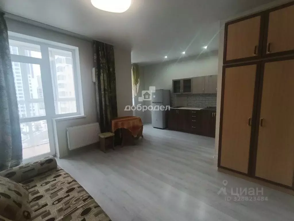 Студия Свердловская область, Екатеринбург ул. Рябинина, 18 (28.2 м) - Фото 1