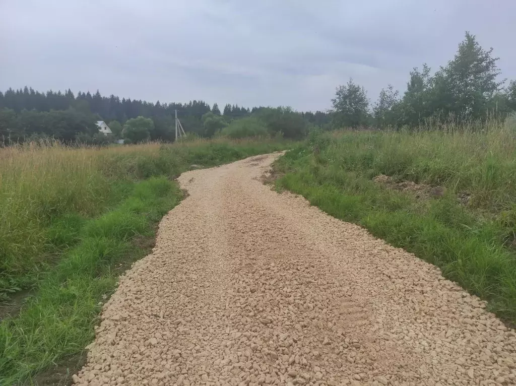 Участок в Ленинградская область, Тосненский район, Любанское городское ... - Фото 0