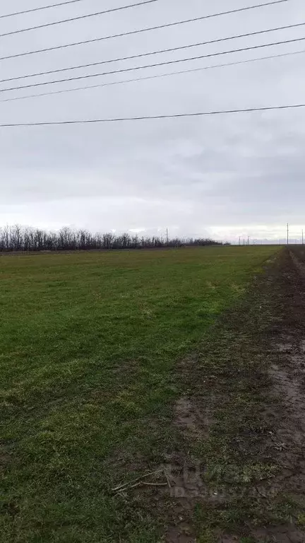 Участок в Краснодарский край, Анапа муниципальный округ, с. Джигинка ... - Фото 1