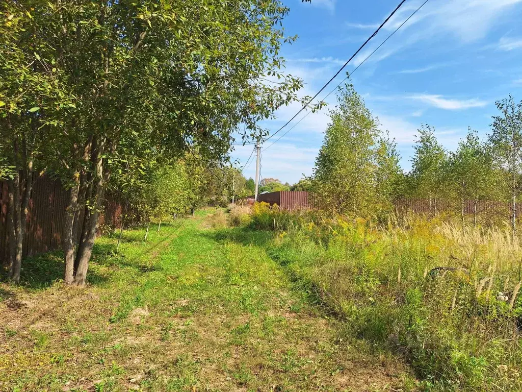 Участок в Московская область, Чехов городской округ, д. Лешино  (6.5 ... - Фото 0