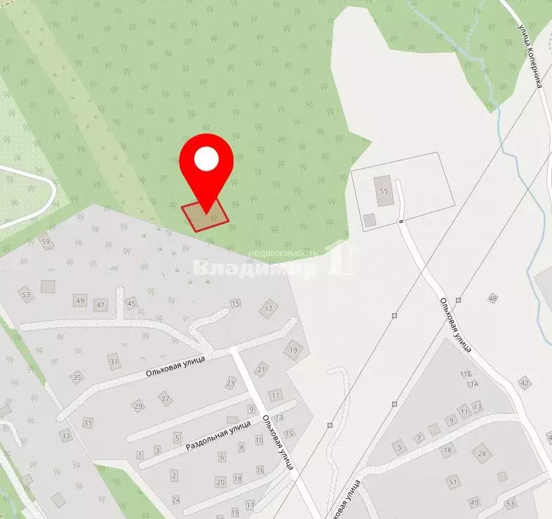 Участок в Приморский край, Находка Кедр кп, ул. Ольховая (14.75 сот.) - Фото 2