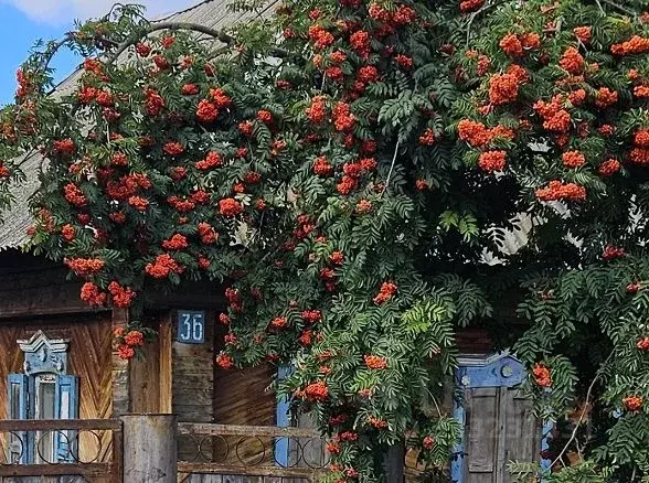 Дом в Башкортостан, Кармаскалинский район, с. Шаймуратово ул. Ленина, ... - Фото 1