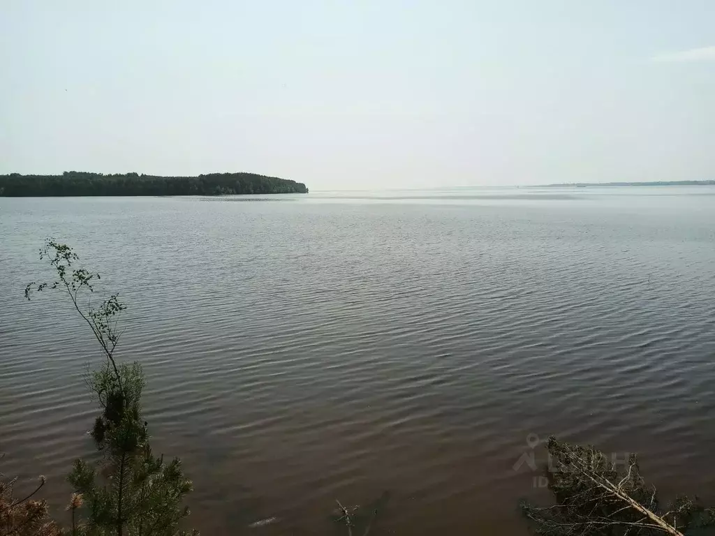 Участок в Нижегородская область, Сокольский городской округ, д. ... - Фото 1