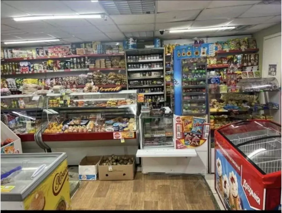 Помещение свободного назначения в Красноярский край, Красноярск ... - Фото 2