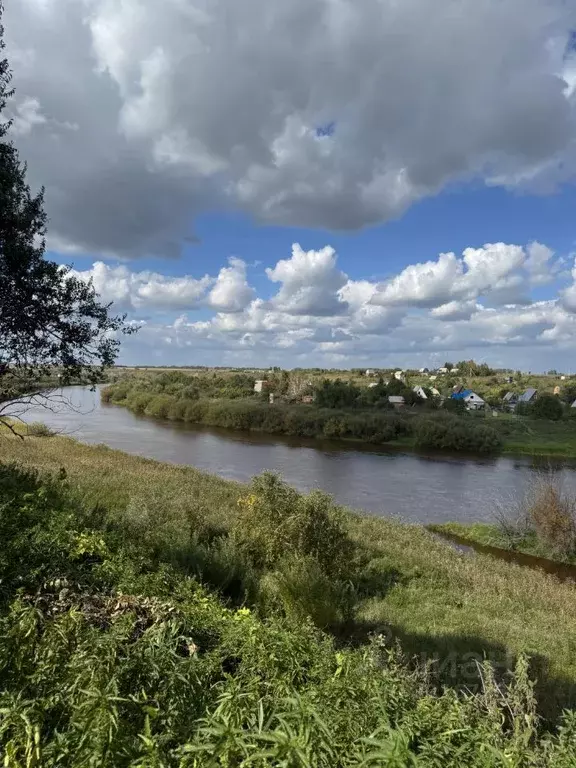 Дом в Омская область, Омский район, с. Богословка Речной пер., 6 (92 ... - Фото 2