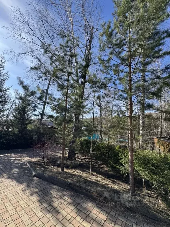 Дом в Красноярский край, Красноярск Лесная ул., 2ж (490 м) - Фото 1