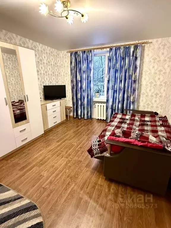 1-к кв. Ленинградская область, Никольское Тосненский район, ... - Фото 2