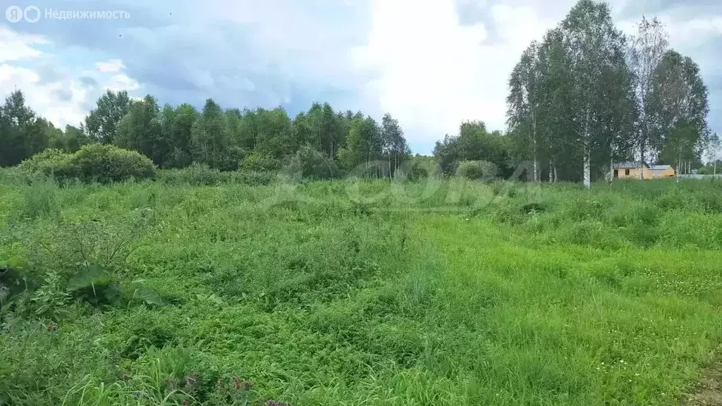 Участок в Тюмень, Центральный округ (12 м) - Фото 1