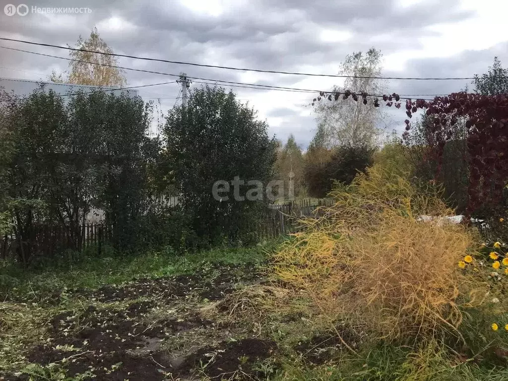 Участок в Новосибирск, НСТ Ветеран, Солнечная улица (5.1 м) - Фото 2