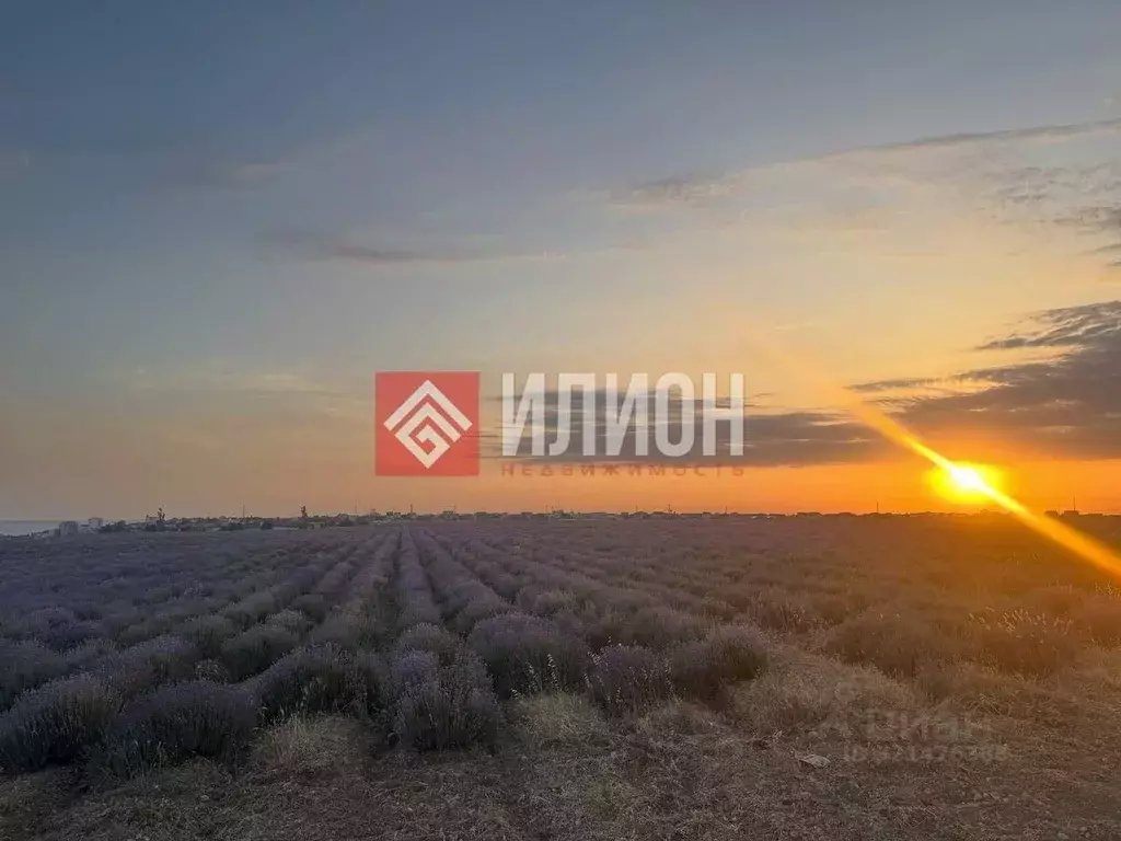 Участок в Севастополь с. Полюшко, пер. Никиты Максименко (4.0 сот.) - Фото 1