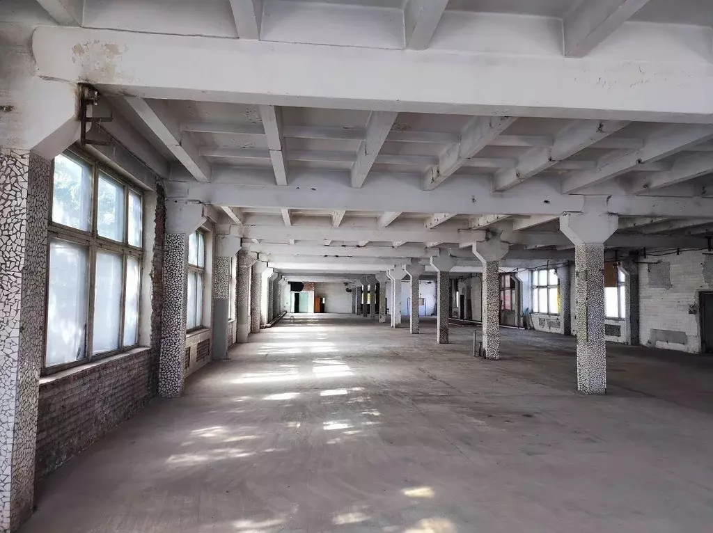 Производственное помещение в Новосибирская область, Искитим ул. ... - Фото 1