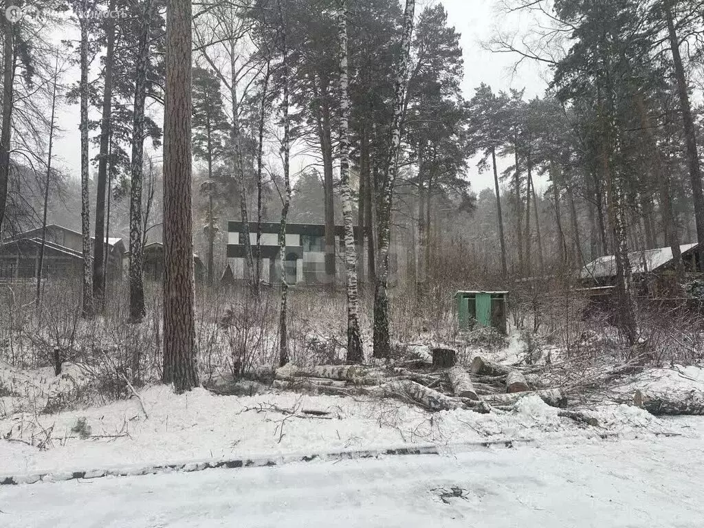 Участок в Новосибирск, коттеджный посёлок Локис (10 м) - Фото 2