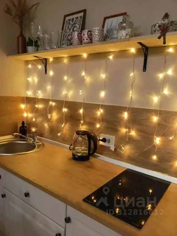 1-к кв. Псковская область, Псков Овсище исторический район, проезд ... - Фото 2