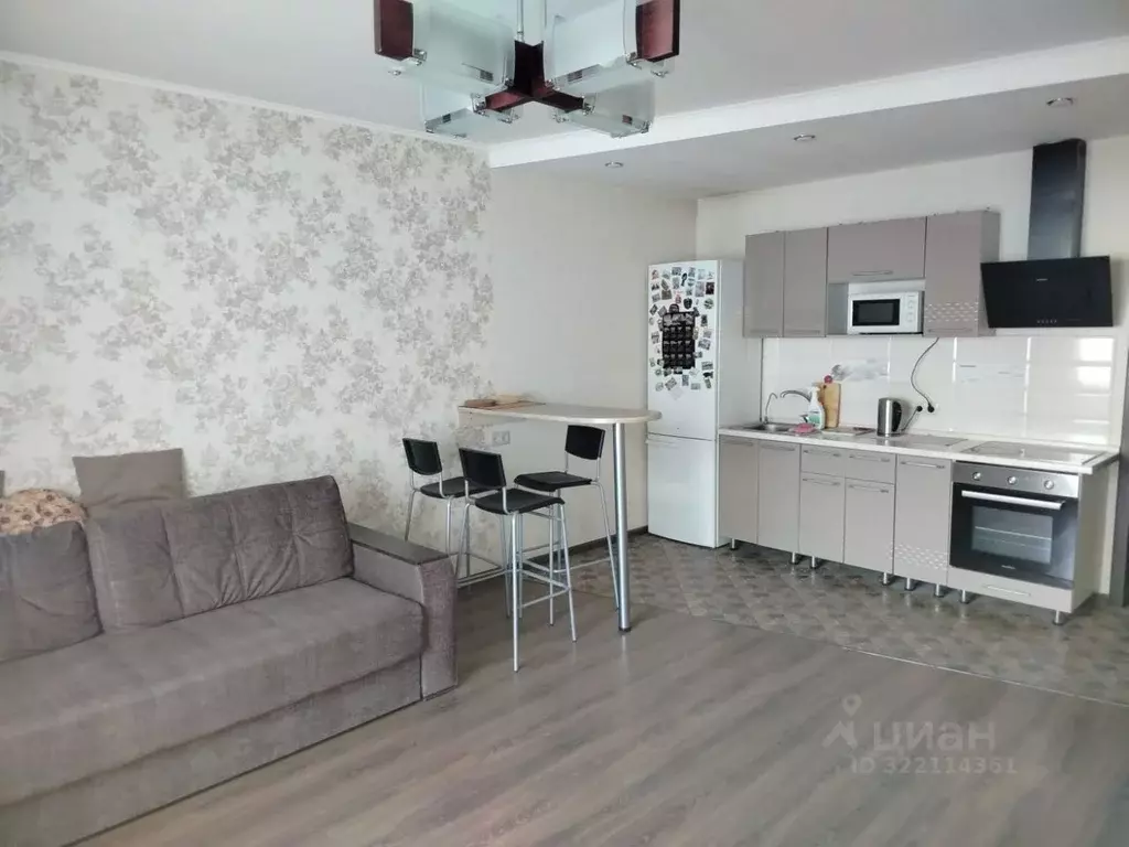 Студия Новосибирская область, Новосибирск ул. Виктора Шевелева, 24 ... - Фото 1