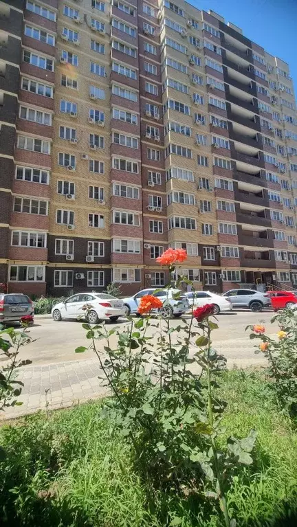 1-к кв. Краснодарский край, Анапа Крестьянская ул., 27к2 (40.0 м) - Фото 0