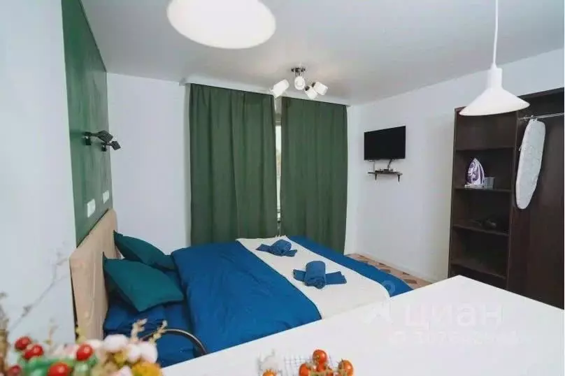 1-к кв. Калужская область, Обнинск ул. Курчатова, 27 (20.0 м) - Фото 2