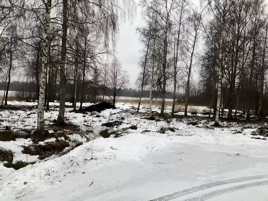 Участок в Ленинградская область, Приозерский район, Ларионовское ... - Фото 0