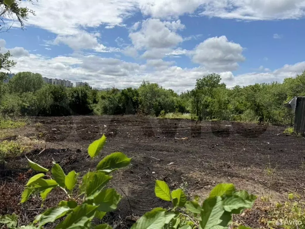 Участок в Белгородская область, Губкин Горняк-Мичуринец СТ, 124 (12.5 ... - Фото 1